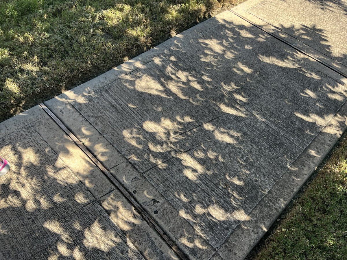 Current view of the eclipse from near Houston, Texas! #SolarEclipse #Eclipse2023