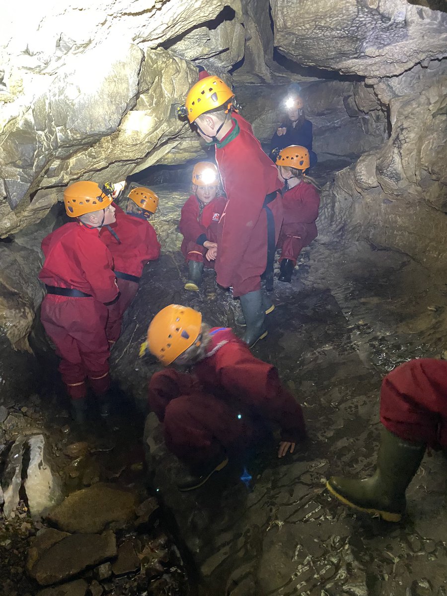 Miss Banks tweet media