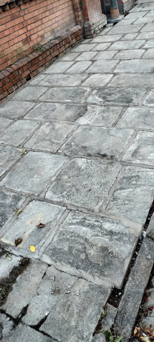 hamishharvey tweet media