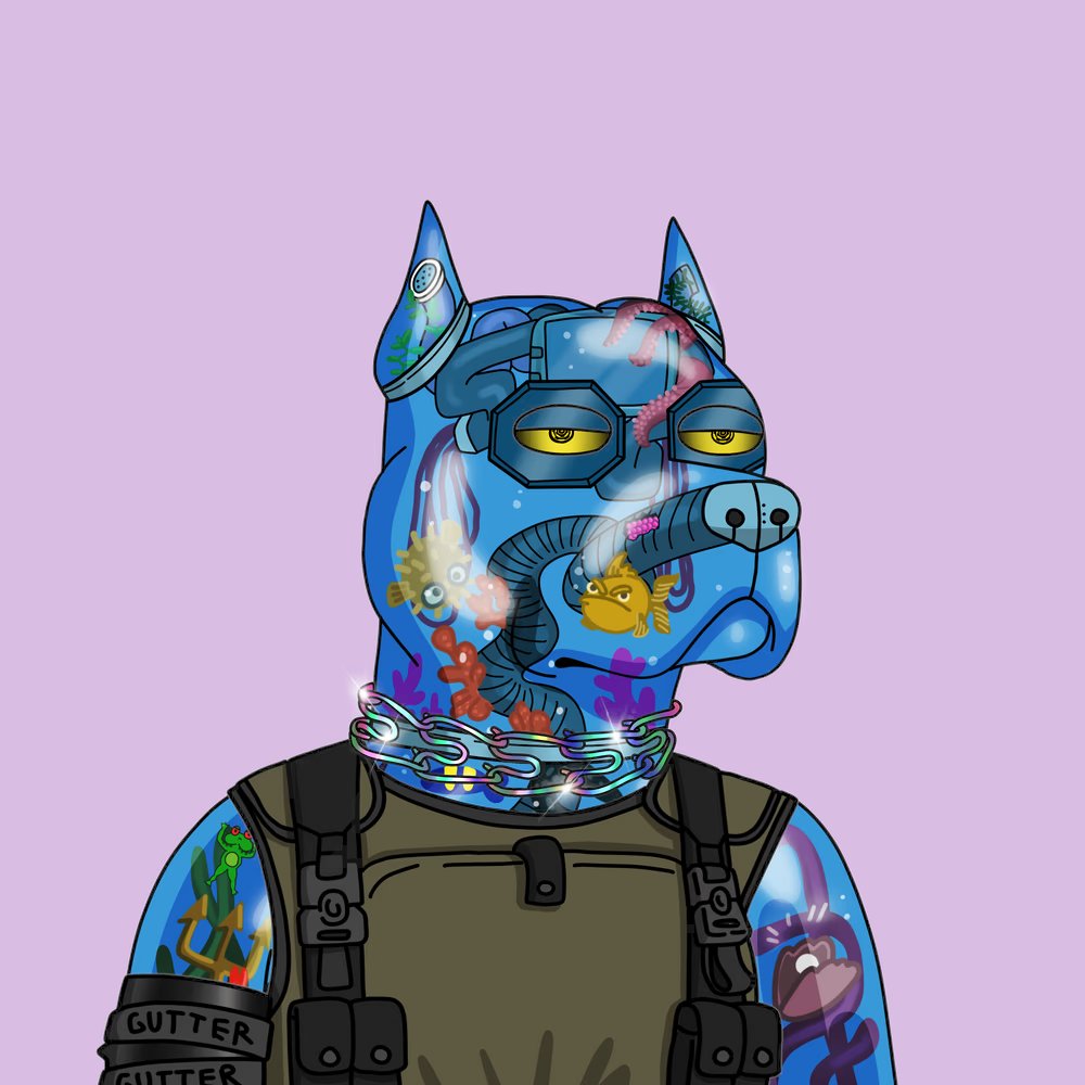 AlphaCircle ⭕ tweet media