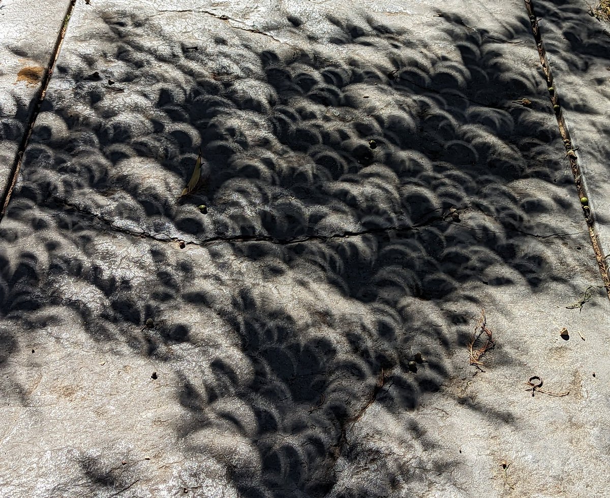 Steve Grobman tweet media