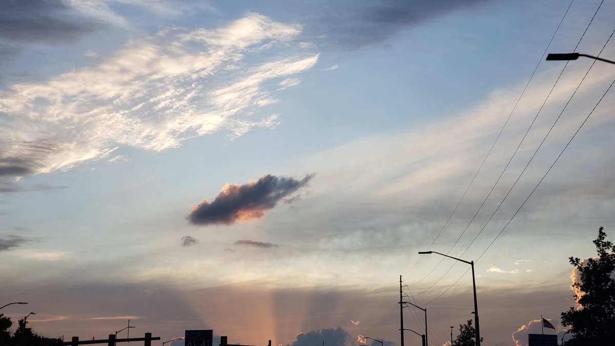 kidney Study tweet media