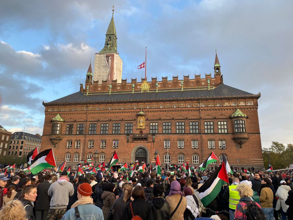 Timesofgaza's tweet photo. Activists in Denmark rally in protest against the lsraeli war crimes committed in Gaza Strip. https://t.co/wfzdXBAQRG