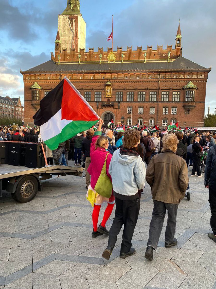 Timesofgaza's tweet photo. Activists in Denmark rally in protest against the lsraeli war crimes committed in Gaza Strip. https://t.co/wfzdXBAQRG