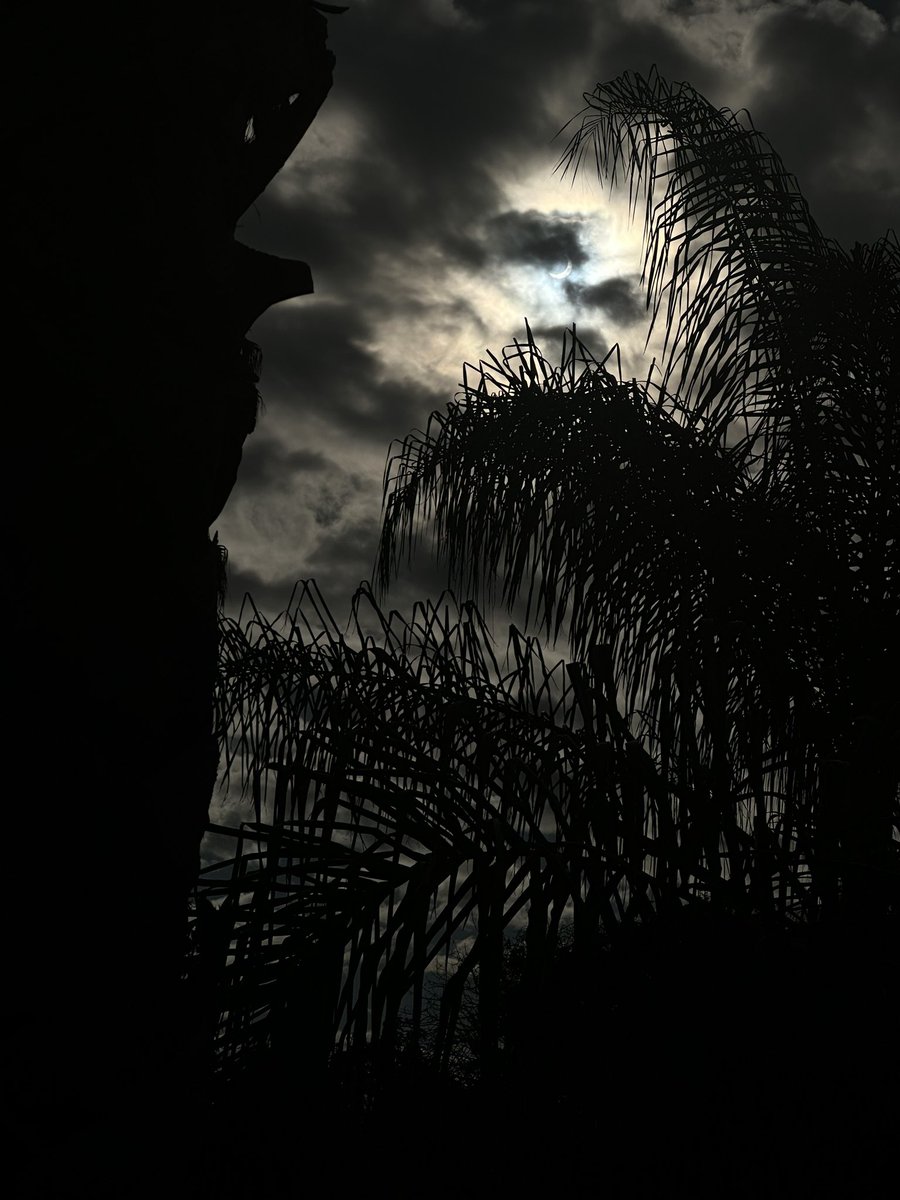 HorstRider's tweet photo. The eclipse was pretty cool https://t.co/x6UCTbs5bc