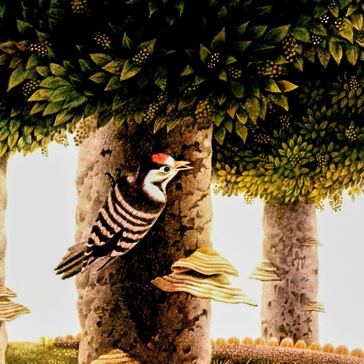 HudsonPulp's tweet image. Gervasio Gallardo Vintage art book page Detail from "The Alien" etsy.com/listing/125531…
 #DecorativeArts #ReadyToFrame