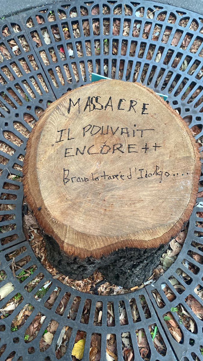 Stéphane Olmi (@steph_olmi) on Twitter photo 