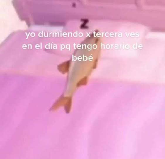 yo los sábados y domingos