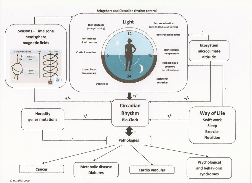 zaidkdahhaj's tweet photo. Zeitgebers 101

Using the 7 most important triggers that make or break your circadian rhythm 

What they are &amp; how to use them

CIRCADIAN CUE THREAD https://t.co/h0jVvwd6V2