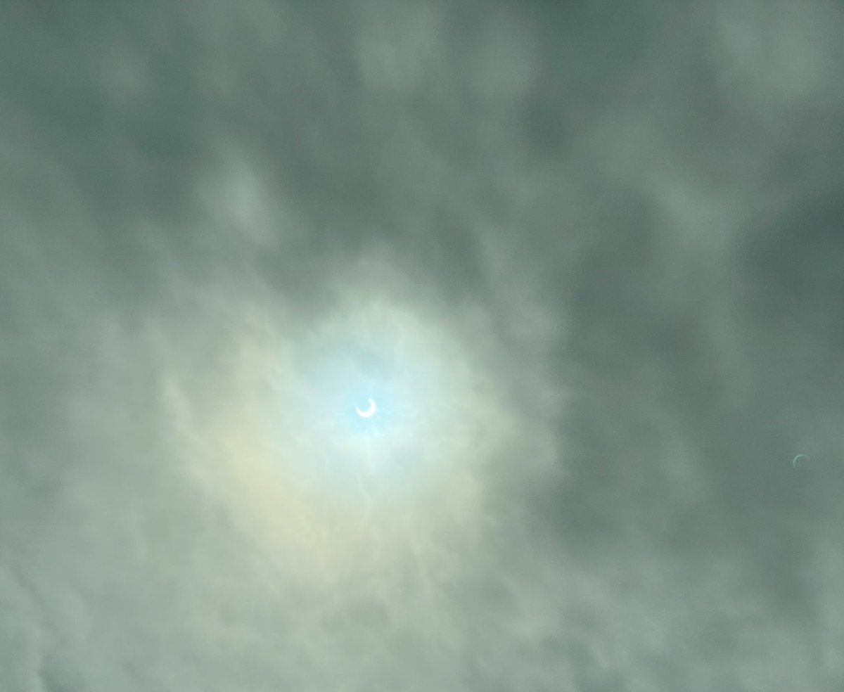 The best my phone camera could get