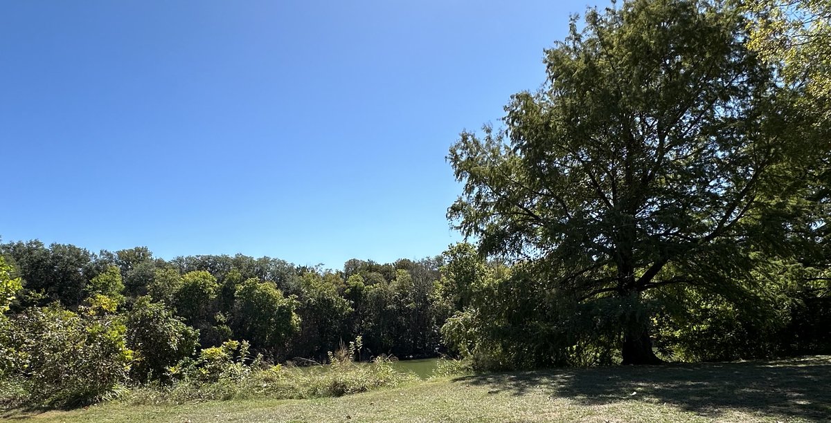 The banks of the Blanco River made for a fine spot to take in the #eclipse today ⁦<a href="/TPWDparks/">Texas State Parks</a>⁩ ! tpwd.texas.gov/state-parks/bl… was already a family favorite, today even more so.