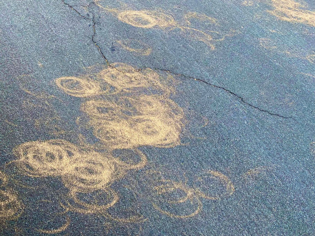 Nikolaos Mellios tweet media