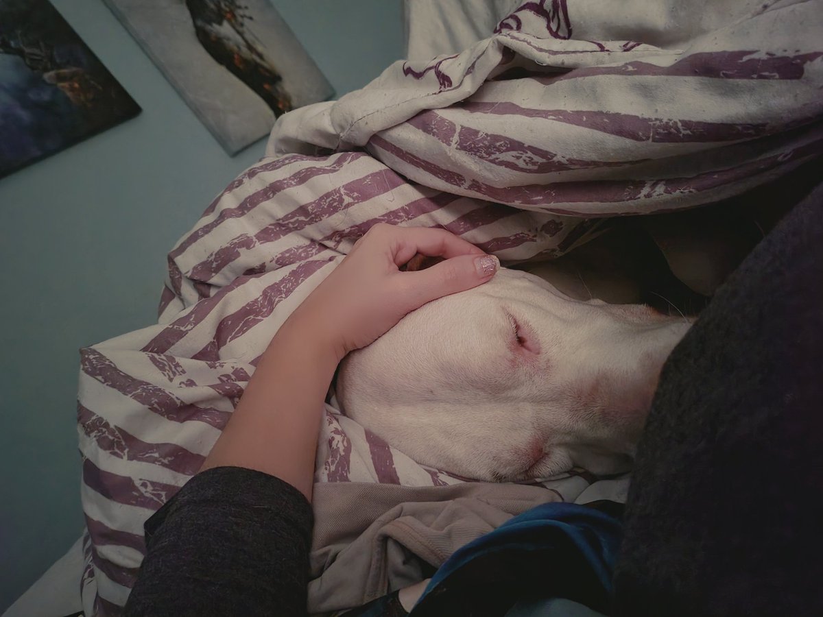 TraderJill (Leigh) tweet media