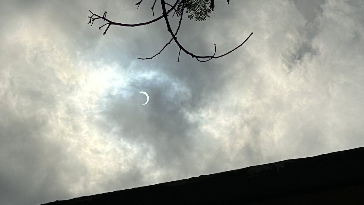 Noé Torres (@_neofox) on Twitter photo 