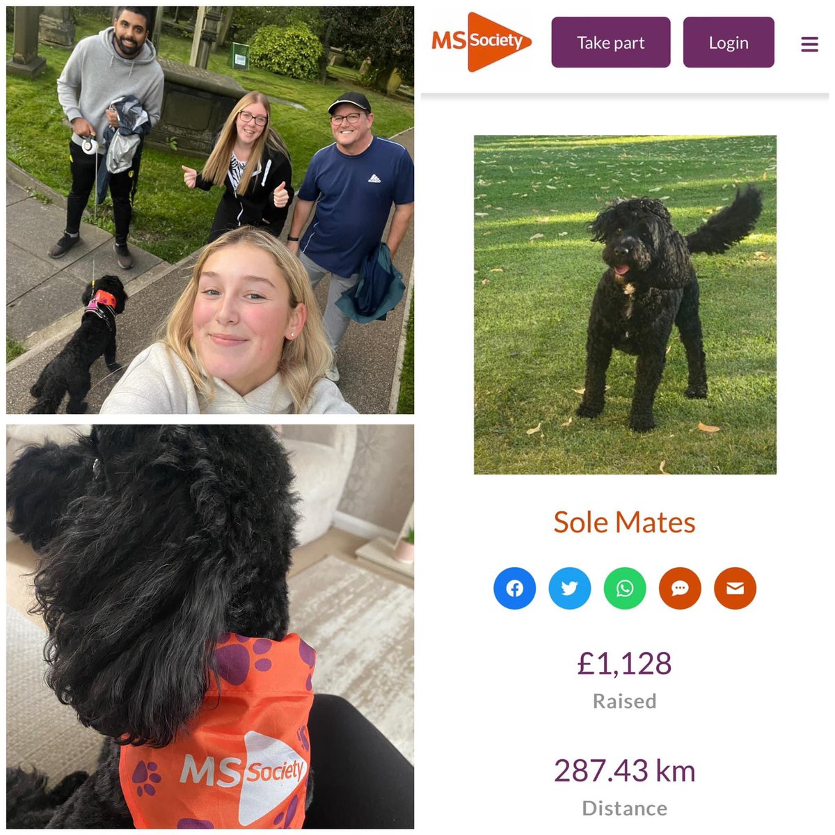 Our team have completed 178.6 miles out of 400! And raised £1,128 👏🏻🙌🏻 Thank you so much for the donations so far! 🧡 Pleaseeee continue to donate to our team 🥰🧡

mymswoof.mssociety.org.uk/fundraising/je…

<a href="/sandeep_lali/">Sandeep Lali</a> <a href="/jugi1969/">justin edwards💜💛</a> <a href="/RobDJofficial/">Rob DJ</a>