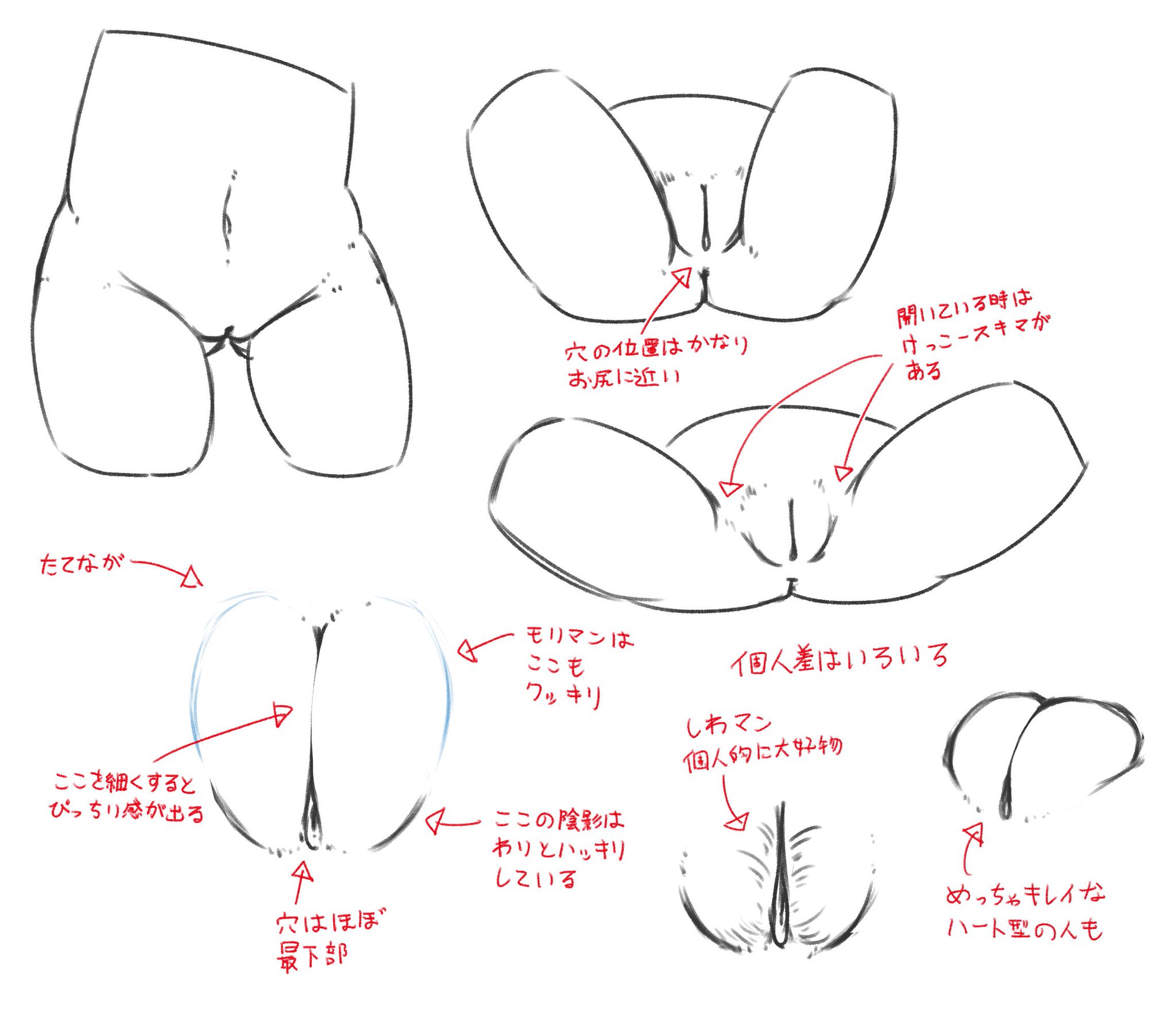  すじ　おまんこ  / X