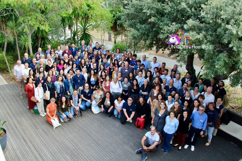 UNICORN Hemato tweet media