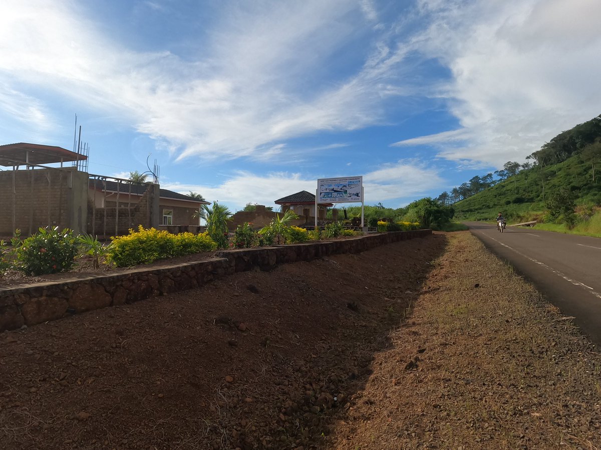 TpestateL's tweet photo. The trees, the flowers, and green lawns are growing slowly. This year, we planted 150 trees. By 2028, this community will be the one and only sustainable living community that will grow all of the vegetables needed by the residents

Check https://t.co/gRZKl15UGB to find answers https://t.co/e0LeDlx1q0