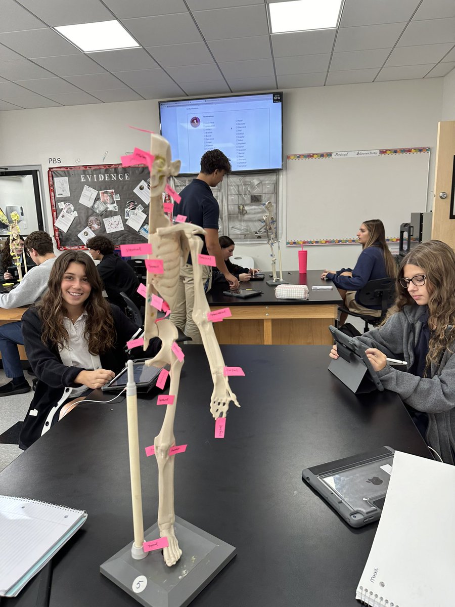 KrishPsych's tweet photo. HBS students take on the mastery of regional Anatomy collaboratively. KrishPsych@XHS https://t.co/x6oBlwWNWe