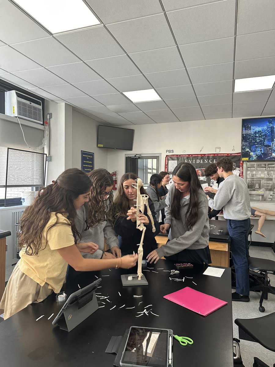 KrishPsych's tweet photo. HBS students take on the mastery of regional Anatomy collaboratively. KrishPsych@XHS https://t.co/x6oBlwWNWe