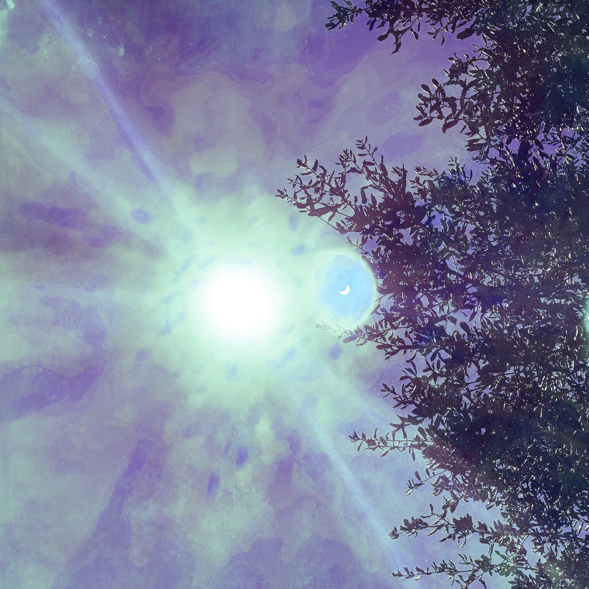 Ardelia Lortz tweet media