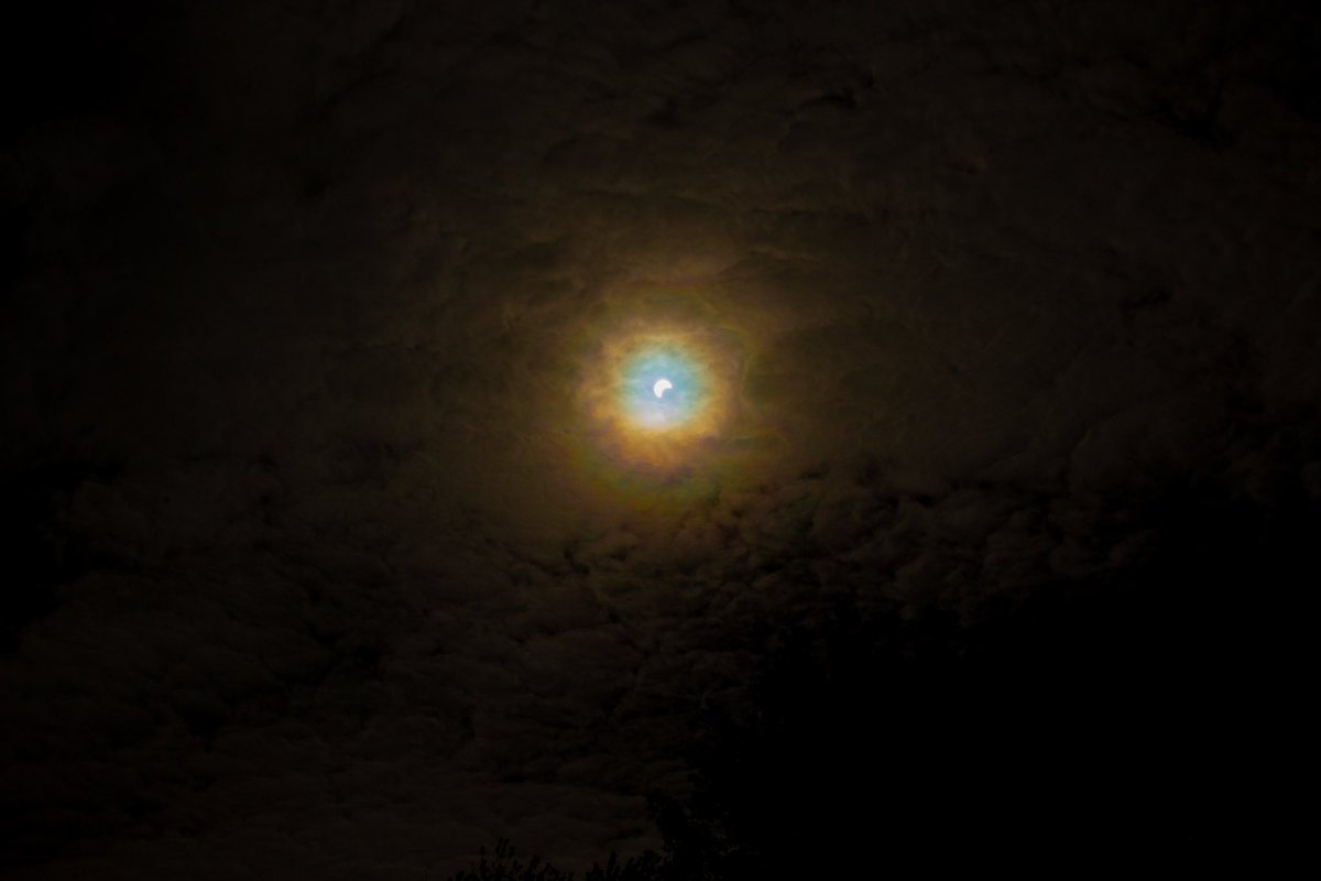 SarvMithaq's tweet photo. Solar Eclipse October 14, 2023, Austin, Minnesota!

@KIMTWeather @ABC6NEWS @FOX47Roch #SolarEclipse2023 #SolarEclipse https://t.co/rsDlUXDdGb
