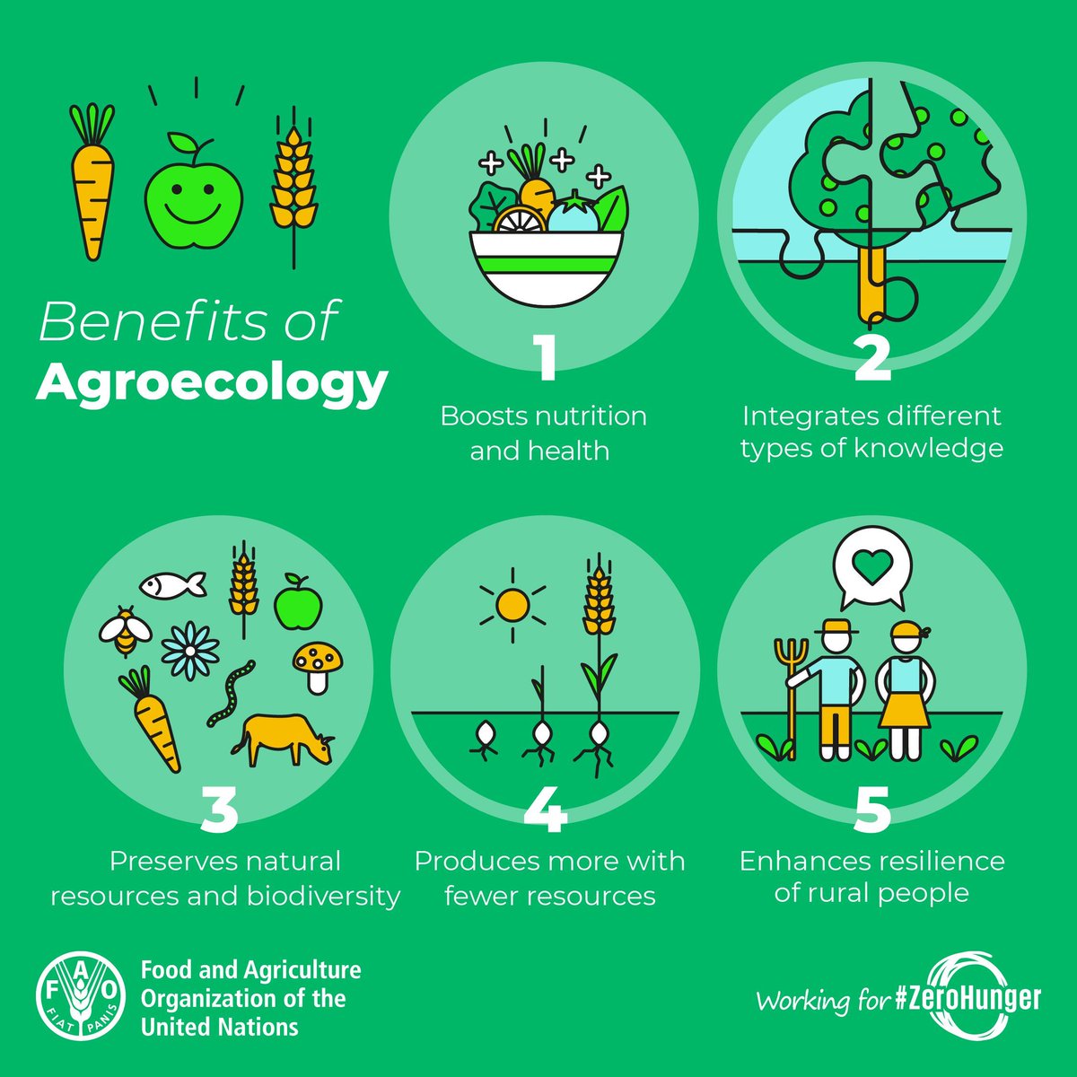 UN Biodiversity tweet media