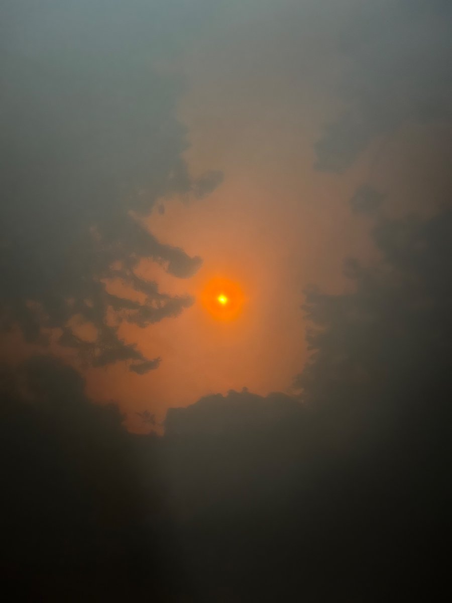 Thank Goddess for libraries and public transport. Watching the annular eclipse with glasses from the library, through the Bart window <a href="/SFBART/">BART</a> <a href="/contracostalib/">Contra Costa County Library</a>