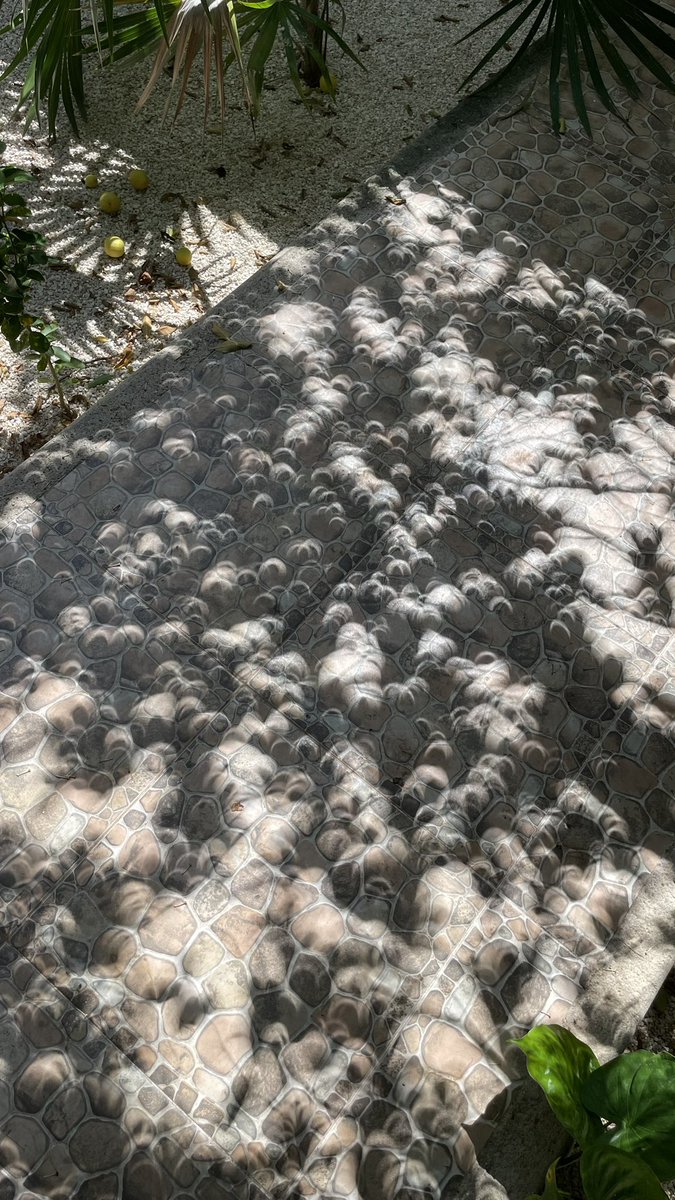 eit1mx's tweet photo. ¡Hermoso!
#EclipseSolar en #Yucatán. https://t.co/Wfcbv63EJQ