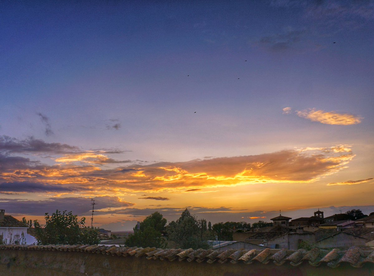 Hengarca's tweet photo. Autumn sunset...
.
.
#foto #pic #rayodesol #picoftheday #ocaso #cielos #landscape #birds #cañadajuncosa #fly #birds #sunset #sunsetphotography #sun #sol #fotografia #cielo #sky #tramonto #photooftheday #bells #sunsetlovers #puestadesol #cuenca #castillalamancha https://t.co/T31cwIR1LA