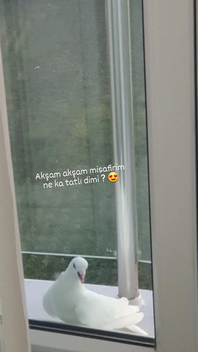 ..Bu ara kuşlar bana sardı sanırım )) 
#iyigeceler