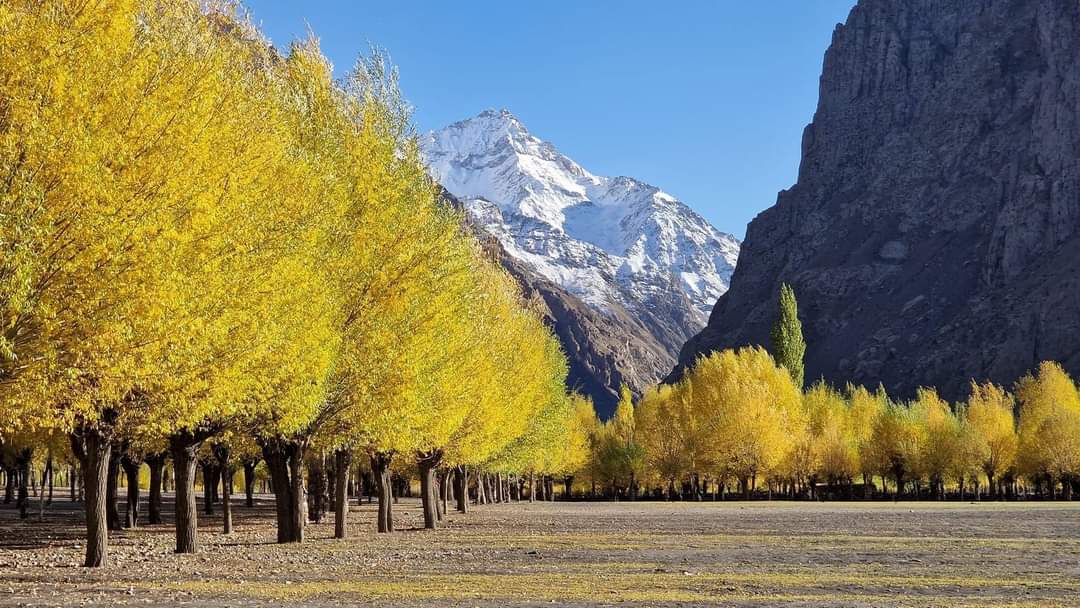 Darkut Valley of Yasin, Ghizer Gilgit Baltistan 🇵🇰💞

#BeautyOfGilgitBaltistan #indvspak2023 #INDvsPAK #MatchHoTohZomato #MatchHoTohZomato #RohitSharma𓃵 #TaehyungFanmeeting #attentat #fixed #ViratKohli𓃵