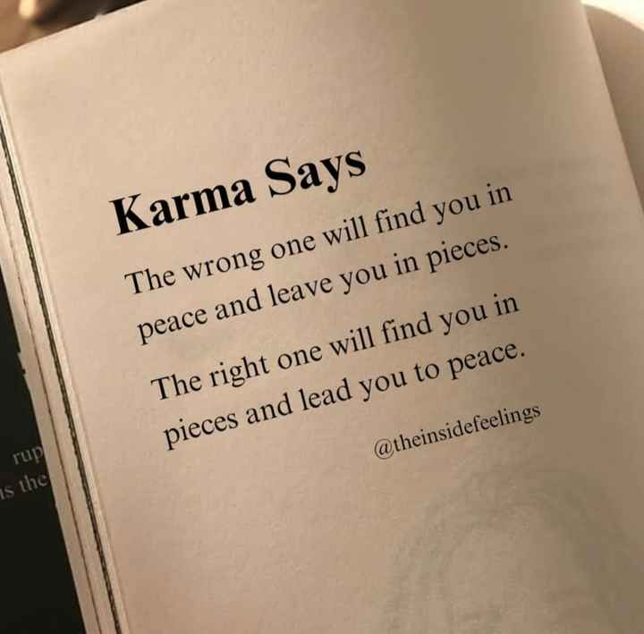 Mr_exotic_'s tweet photo. 🕊️ https://t.co/4W6SpUoGkV