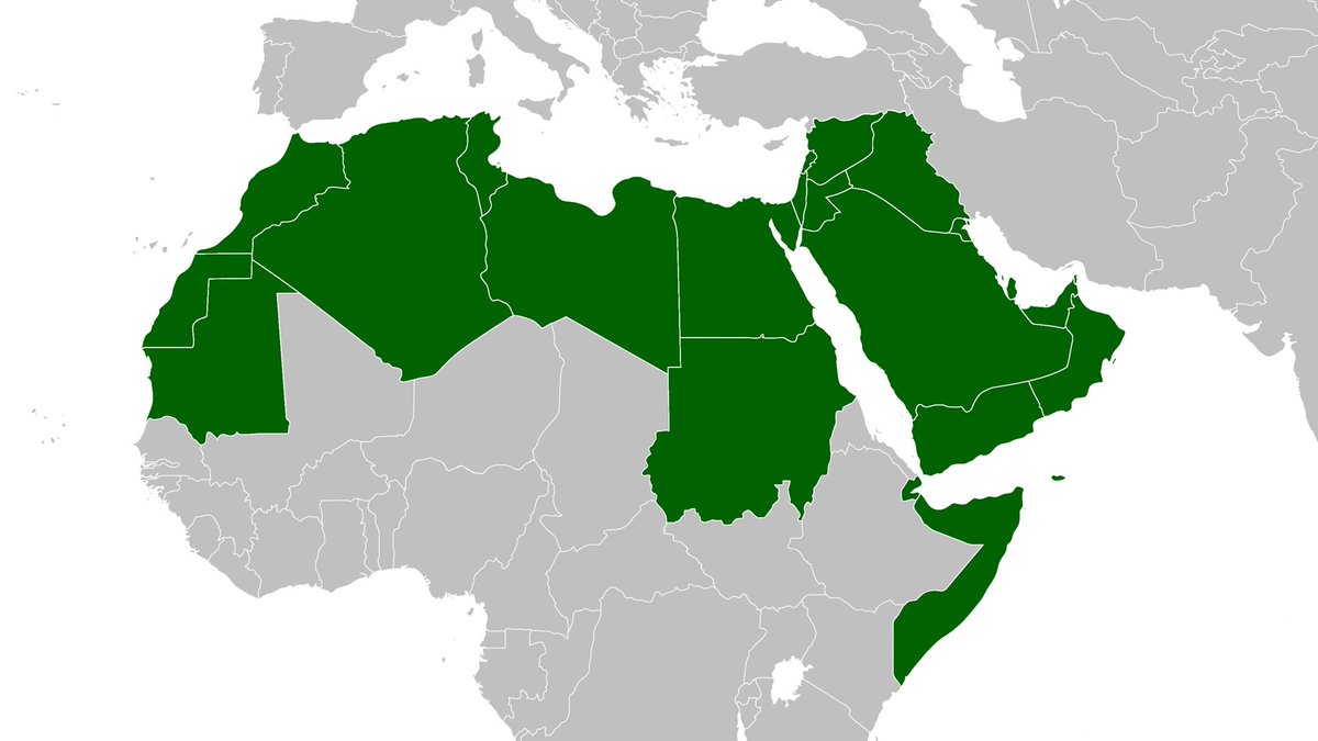 visegrad24's tweet photo. A map of all Arab League members. 

How many have opened or offered to open their doors to Palestinian refugees in the last week? https://t.co/MuOLSzEkUZ