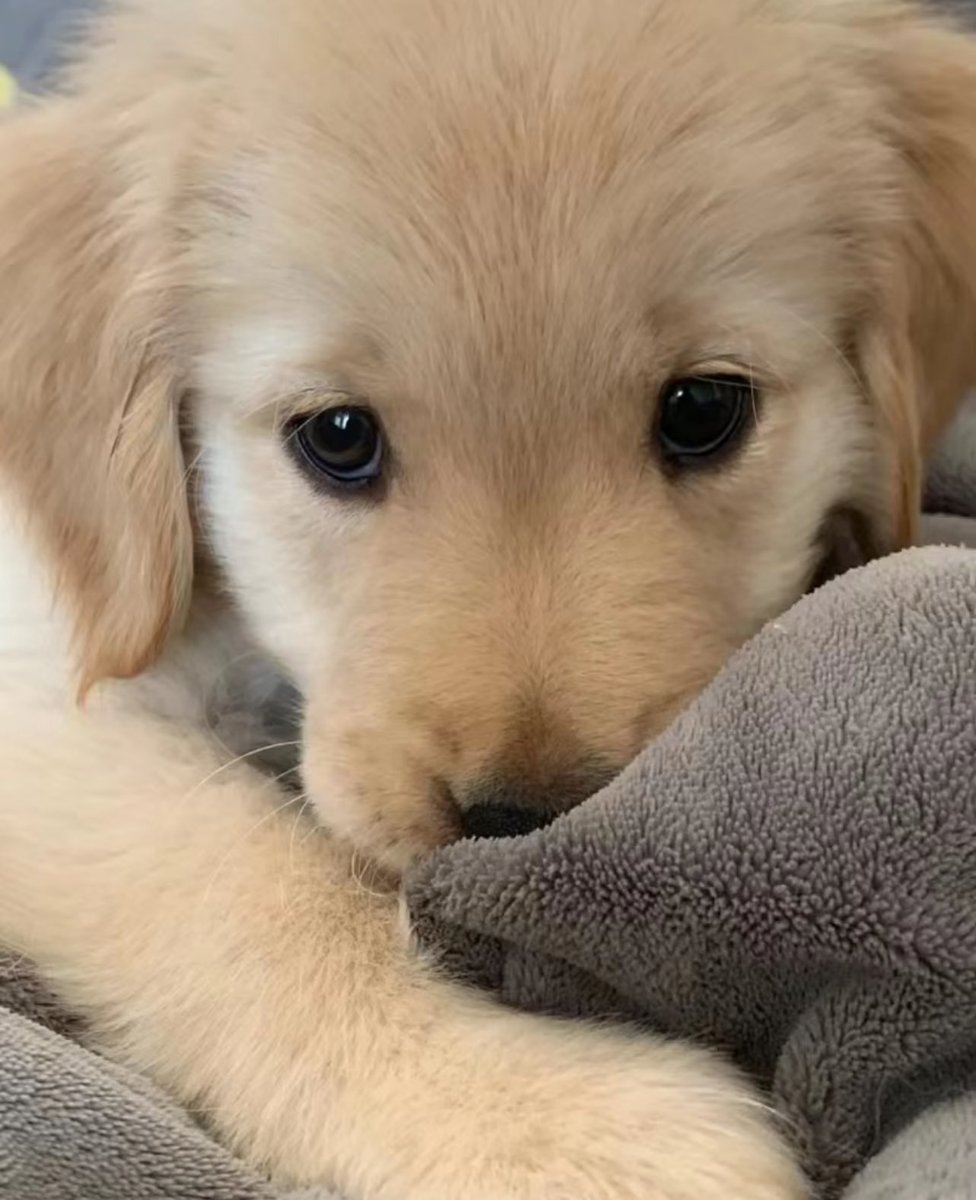 คืนนี้นอนกะใคหรอ