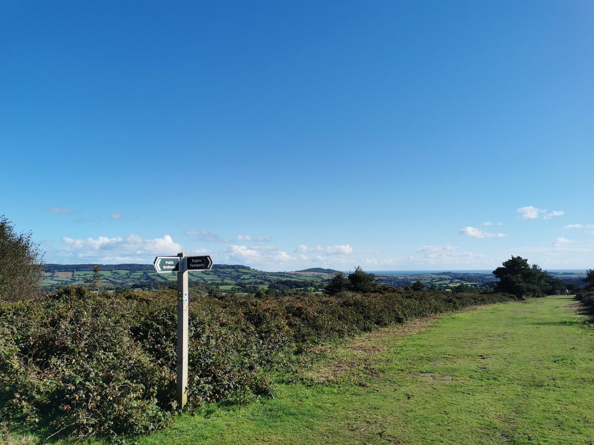 Lucy Ford tweet media