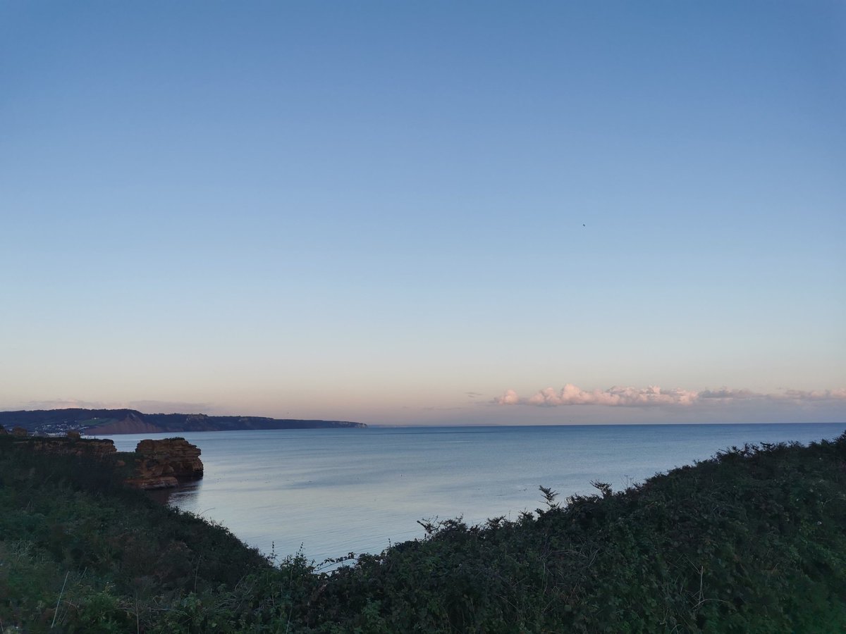 Lucy Ford tweet media