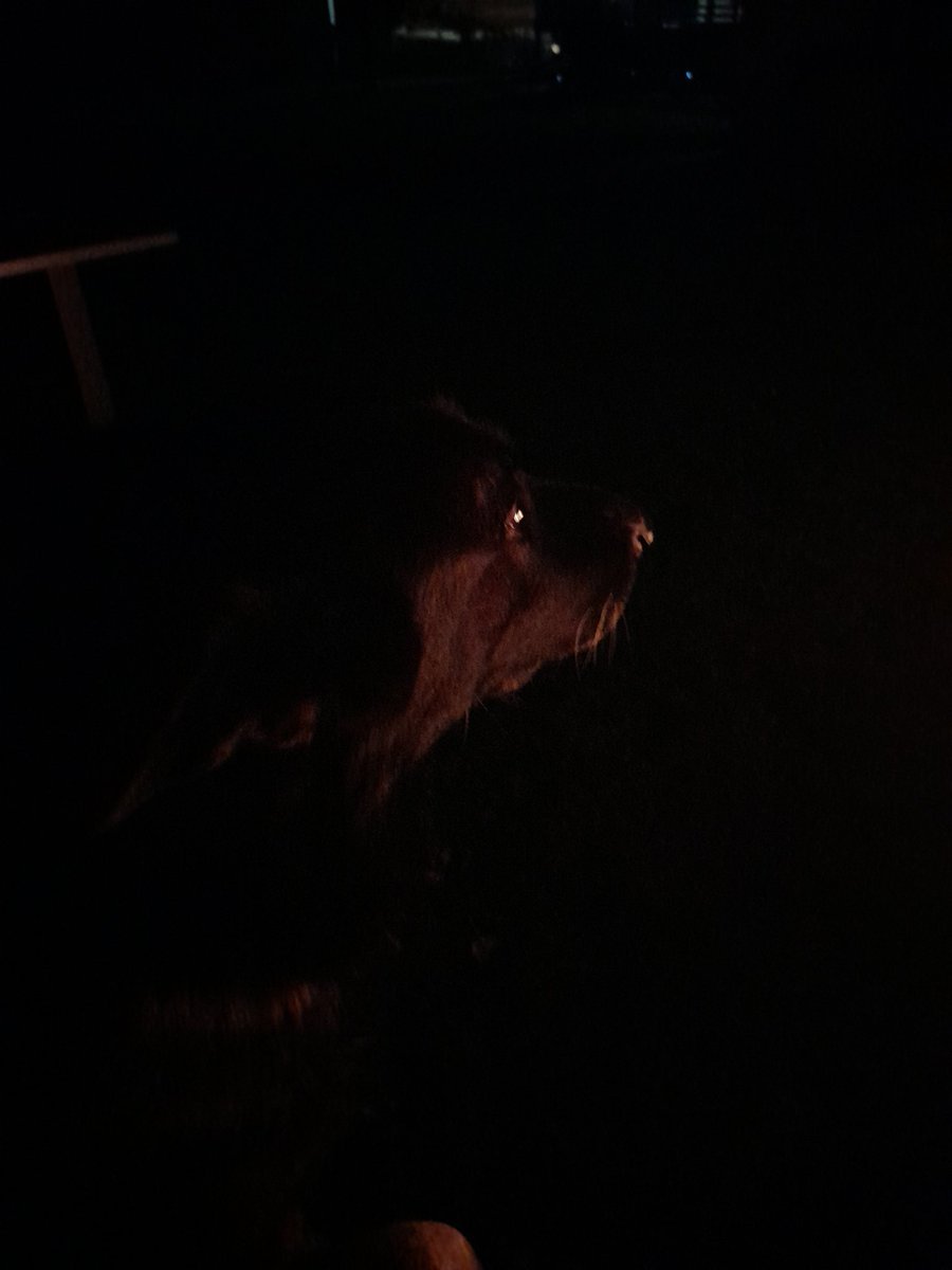 Podseller on Air💉💉🚬💉 tweet media