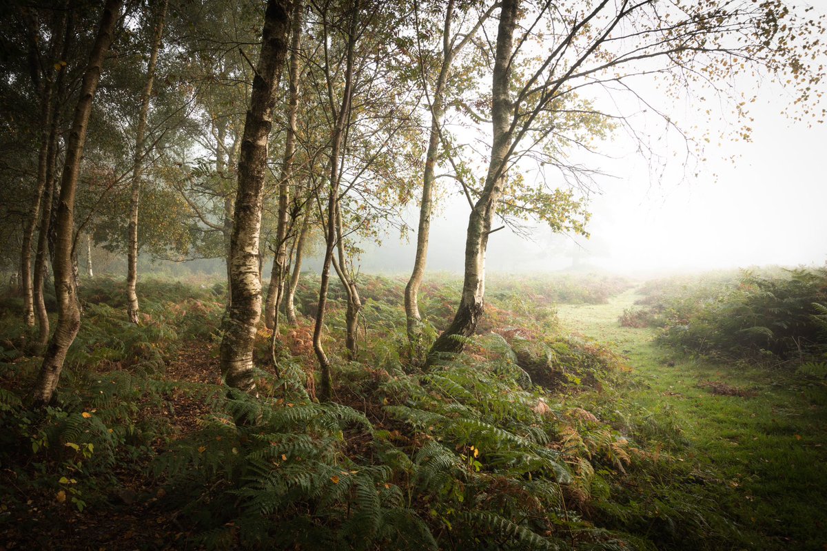 𝐌𝐚𝐭𝐭 𝐏𝐢𝐧𝐧𝐞𝐫 tweet media