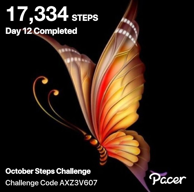 Hello everyone 👋 
Some recent walking steps. 

YouTube.com/RhondaGraceExp…