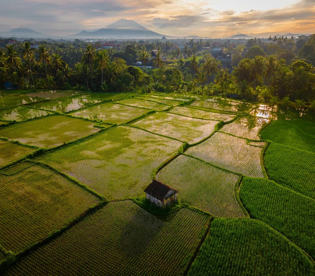 Skyscanner_nl's tweet photo. Ontdek het beste van #Indonesië via onze medereizigers!
Of je nu geniet van zonsondergangen aan de #kust, het verkennen van historische #tempels, het ervaren van majestueuze #watervallen of het ontdekken van bruisende #steden, Indonesië heeft voor elk wat wils! 🏖️🌄🌊 https://t.co/pdWfrNA0tm