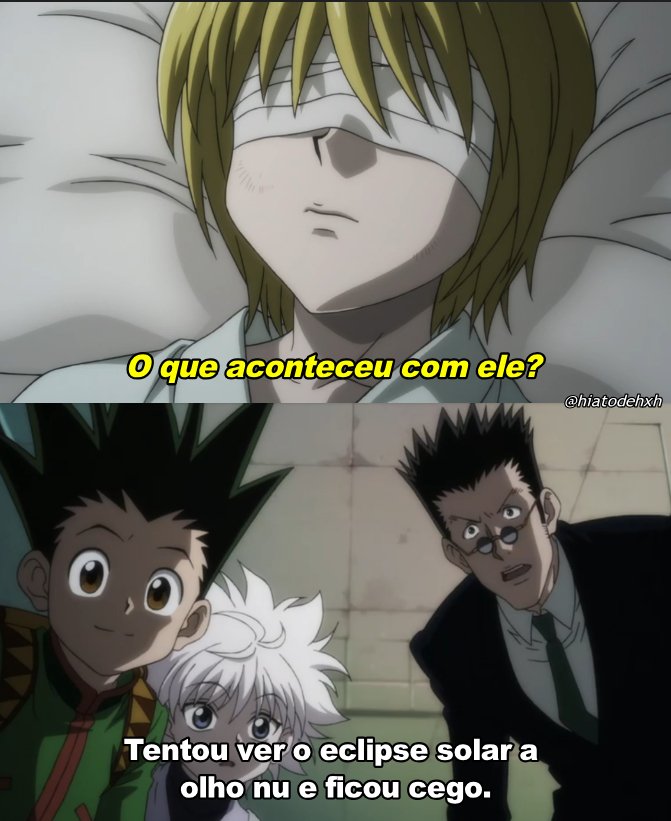 Hunter x Hunter já saiu do hiato? on X: Qual você escolhe?   / X