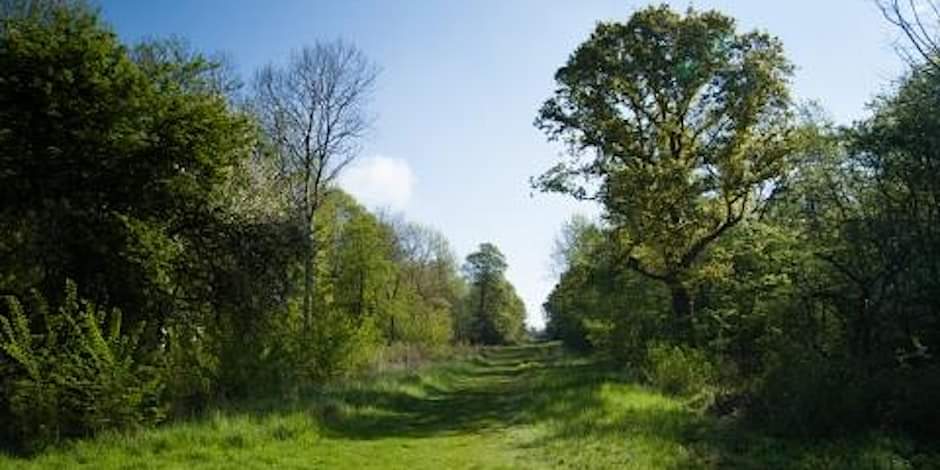 #OnThisDay 1470, the trial of John Tiptoft, Earl of Worcester, so-called “Butcher of England”, and Yorkist leader in the #WarsOfTheRoses, took place. He'd been captured, after the Lancastrian restoration, in Weybridge Forest, the remnants of which now survive at Brampton Woods.