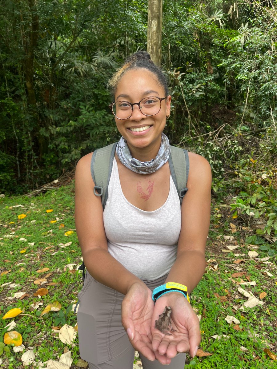 Finally I do #BiNHMs #RollCall on time!

I'm Brianna, a PhD candidate at <a href="/AMNH/">American Museum of Natural History</a>. I am interested in the genomic &amp; morphological evolution of Neotropical arboreal snakes 🐍

I post this during my first PhD field season in Panama looking for Cat-Eyed Snakes &amp; Bluntheaded Tree Snakes