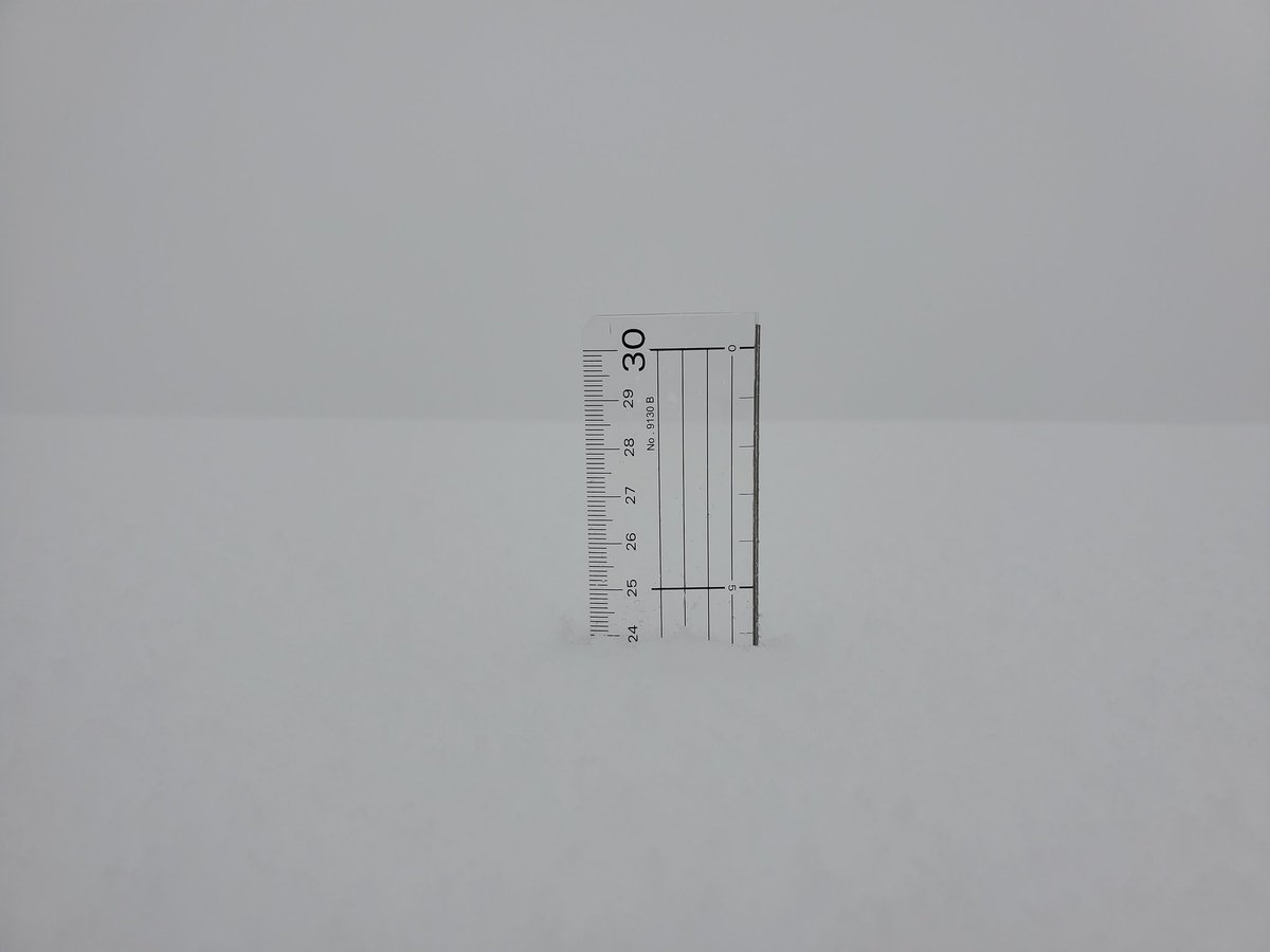 3190's tweet photo. おはようございます。
稜線では本日未明から降雪があり、すでに25cm程度の積雪となっております。吹き溜まりは膝まであります。
雪質は湿った重い雪です。

午前7時現在の気温：3.1℃
最低気温：1.8℃ https://t.co/Oslr4i18Nx