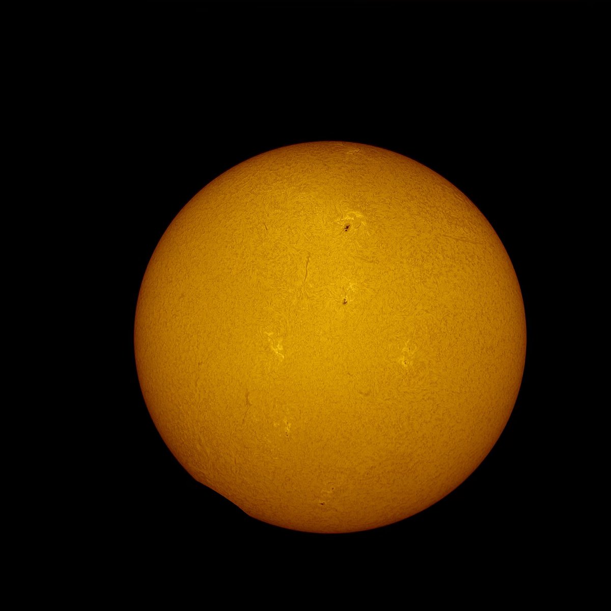 Dr. Lucille Le Corre tweet media