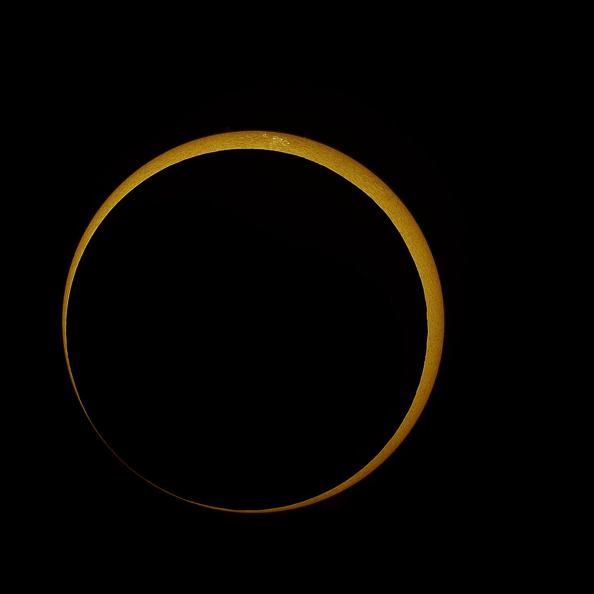 Dr. Lucille Le Corre tweet media