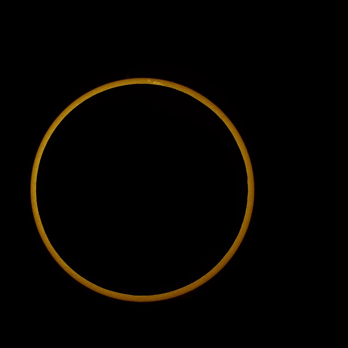 Dr. Lucille Le Corre tweet media