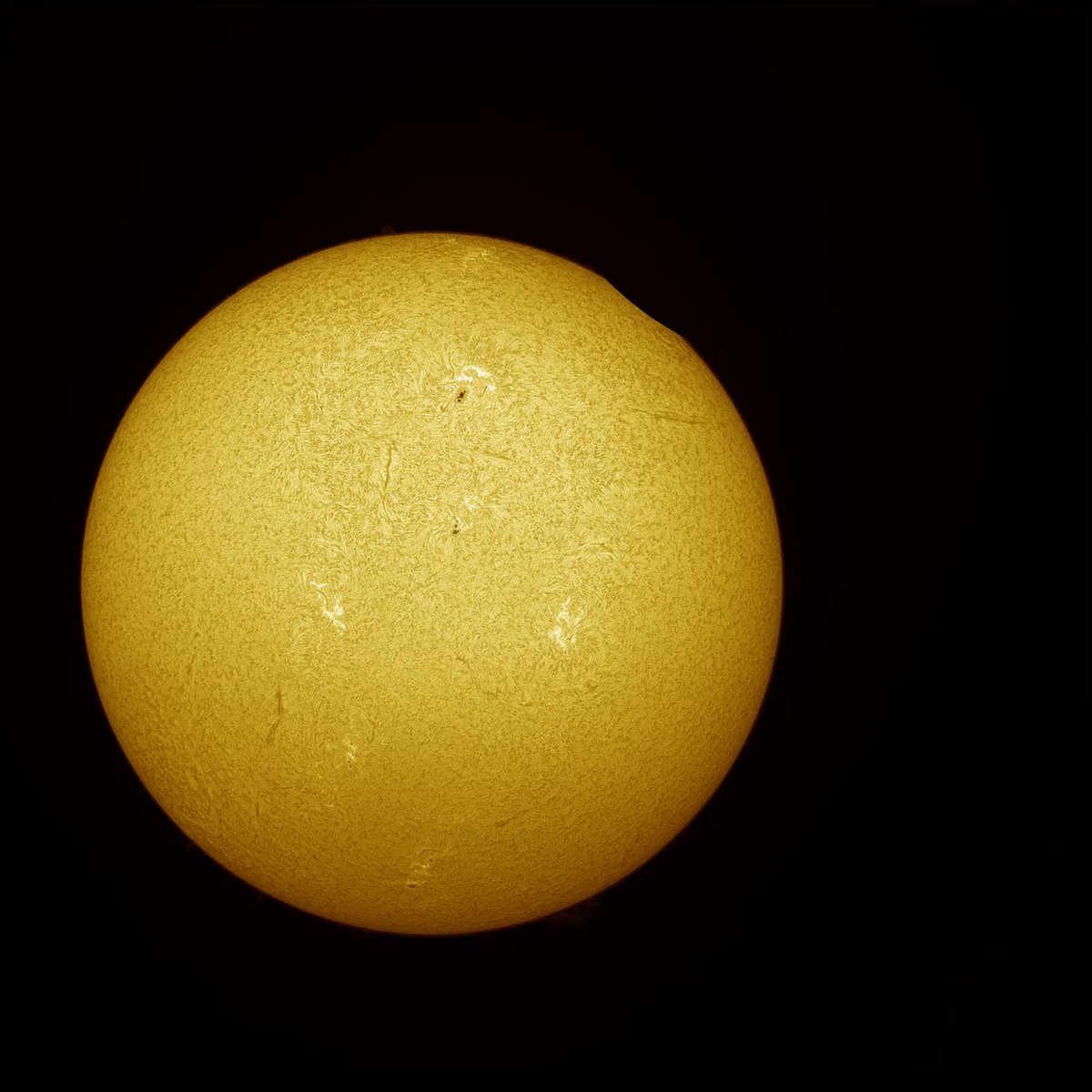 Dr. Lucille Le Corre tweet media