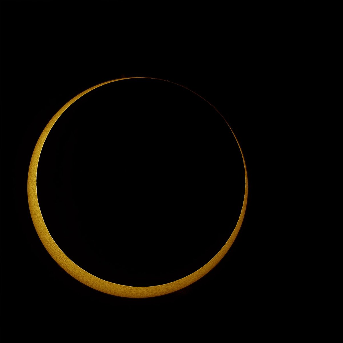 Dr. Lucille Le Corre tweet media